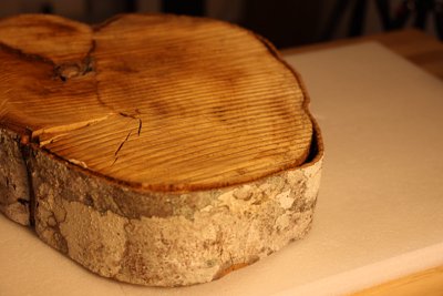 Recorded photograph of the wood, showing its grain, split and bark